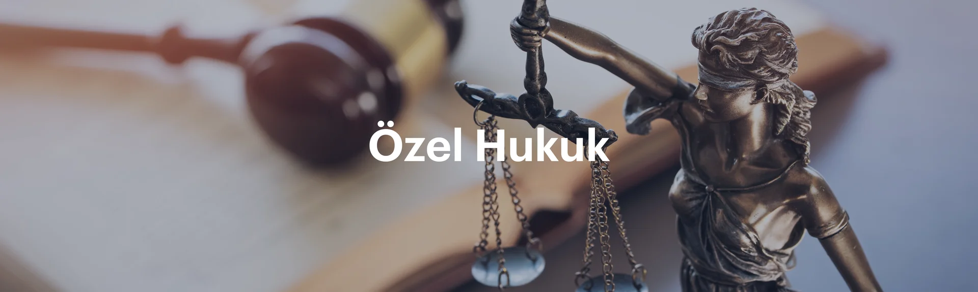 Özel Hukuk Bannerı