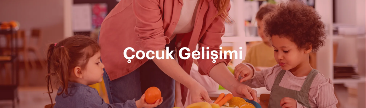 Çocuk Gelişimi Banner