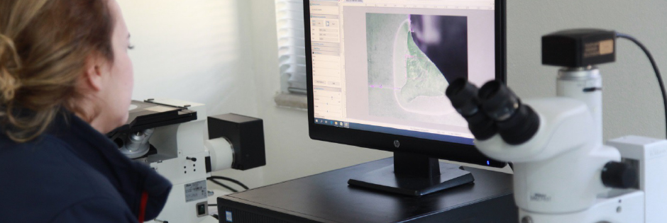 Tabribatsız Muayene Bannerı